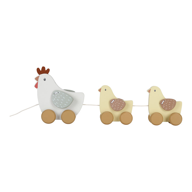 Gallinelle trainabili